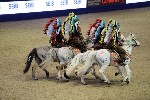 Quadrille - 00300